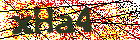 Capcha-Code 